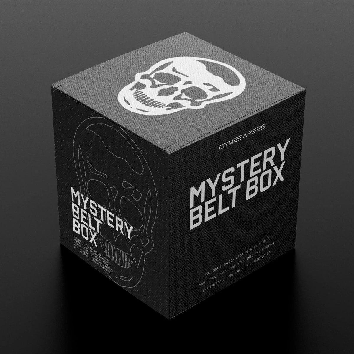 10MM Lever Belt Mystery Box